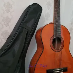 گیتار آریا Ak80