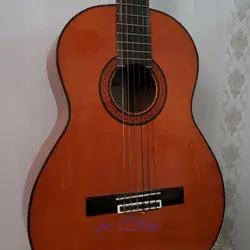 گیتار آریا Ak80