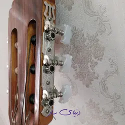 گیتار آریا Ak80