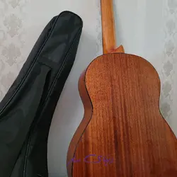 گیتار آریا Ak80