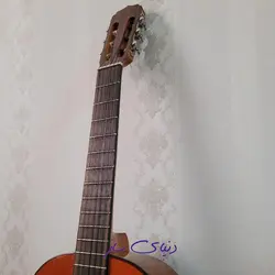 گیتار آریا Ak80