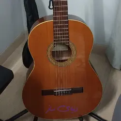 گیتار اپاراچیو aa10