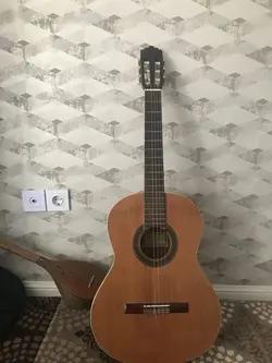 گیتار استیو 4ste