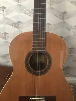 گیتار استیو 4ste