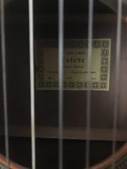 گیتار استیو 4ste