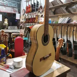 گیتار پارسی p80 و p70