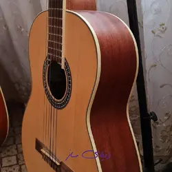 گیتار فوکوس آمریکایی