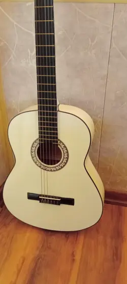 گیتار دیاموند سری جدید همراه با کیف