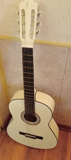 گیتار دیاموند سری جدید همراه با کیف