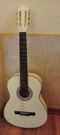 گیتار دیاموند سری جدید همراه با کیف