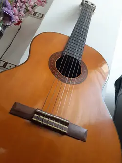 گیتار کلاسیک c70