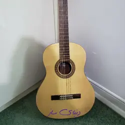 گیتار کلاسیک پویا g1