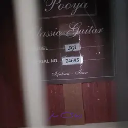 گیتار کلاسیک پویا g1