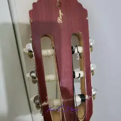 گیتار کلاسیک پویا g1