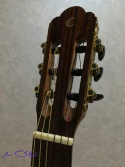 گیتار کلاسیک کوردوبز cg25