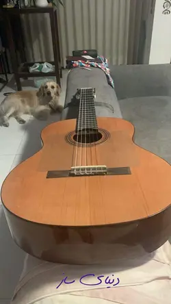 گیتار کوردوبا c5 ایبریا