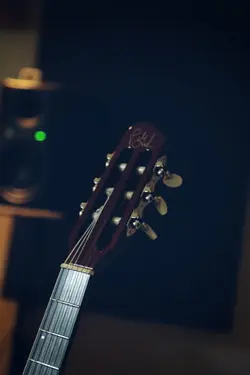 گیتار گودین godin multiac black pearl acs guitar (slim nylon) black