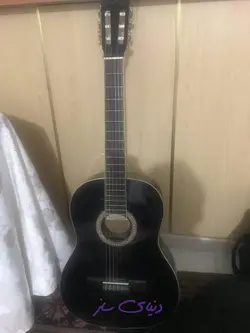 گیتار هافنر