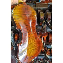ويولن منبت باخ bach دست ساز فر طبيعی آکبند