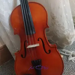 ویولن