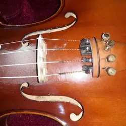 ویولن استریوس