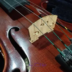 ویولن اصل آماتی 200