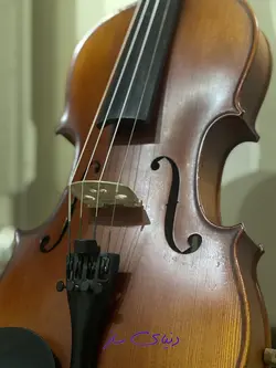 ویولن پازولد دست ساز آلمانی