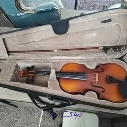 ویولن تی, اف استیودنت