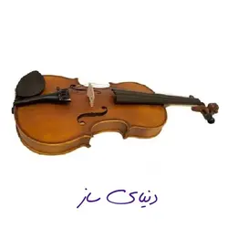 ویولن رناتو Renato 180 دوچهارم (یک دوم) آکبند