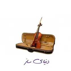 ویولن رناتو Renato 420 سایز 4/4 آکبند