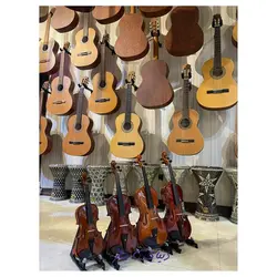 ویولن کلاسیک پائولو مگینی Paolo Maggini آکبند