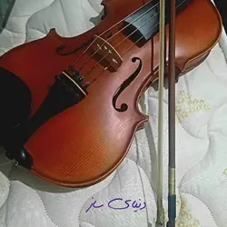 ویولن دستساز حرفه ای همایونی