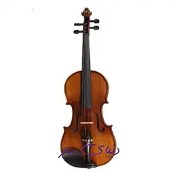 ویولن لوترا مدل LOOTRA Vn 900 آکبند