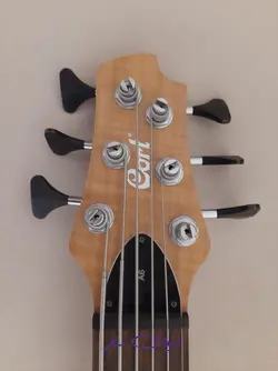 گیتار باس , بیس کورت شش سیم a6