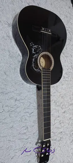 گیتار پائوچیا