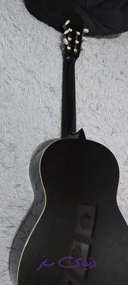 گیتار پائوچیا