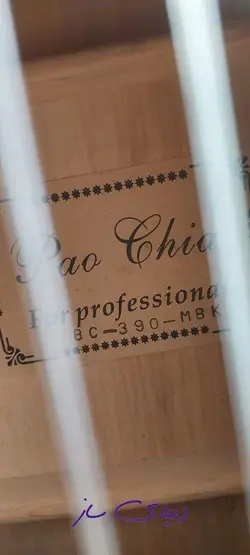 گیتار پائوچیا