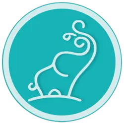 تیشرت و شلوار جانا طرح ماشین پسرانه