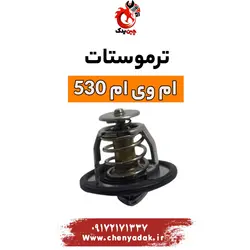 خرید و قیمت ترموستات ام وی ام 530 | ارسال فوری