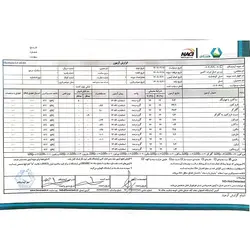 عسل ممتاز 3 کیلویی کوه دشت خراسان | اکسین