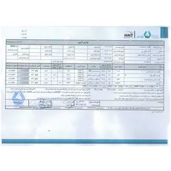 عسل زرشک 450 گرم تاجکوه | اُکسین