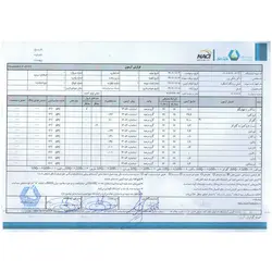 عسل زرشک 900 گرم تاجکوه | اُکسین