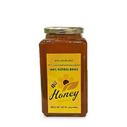 عسل وحشی سیستان 1000 گرم عسل کندو | اُکسین