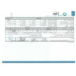 عسل پونه 950 گرم عسل کندو | اُکسین