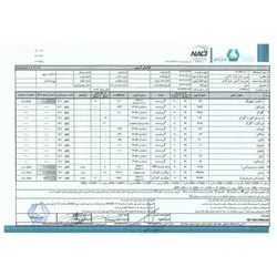 عسل پونه 950 گرم عسل کندو | اُکسین