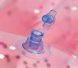 تشک بادی روی آب طرح صدف دریایی