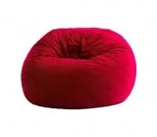 بین بگ بزرگسال