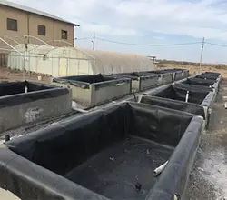 استخر گالوانیزه پرورش ماهی اینتکس