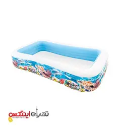 استخر بادی مستطیلی با طرح ماهی