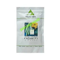 بذر کدو هلندزادن فدک